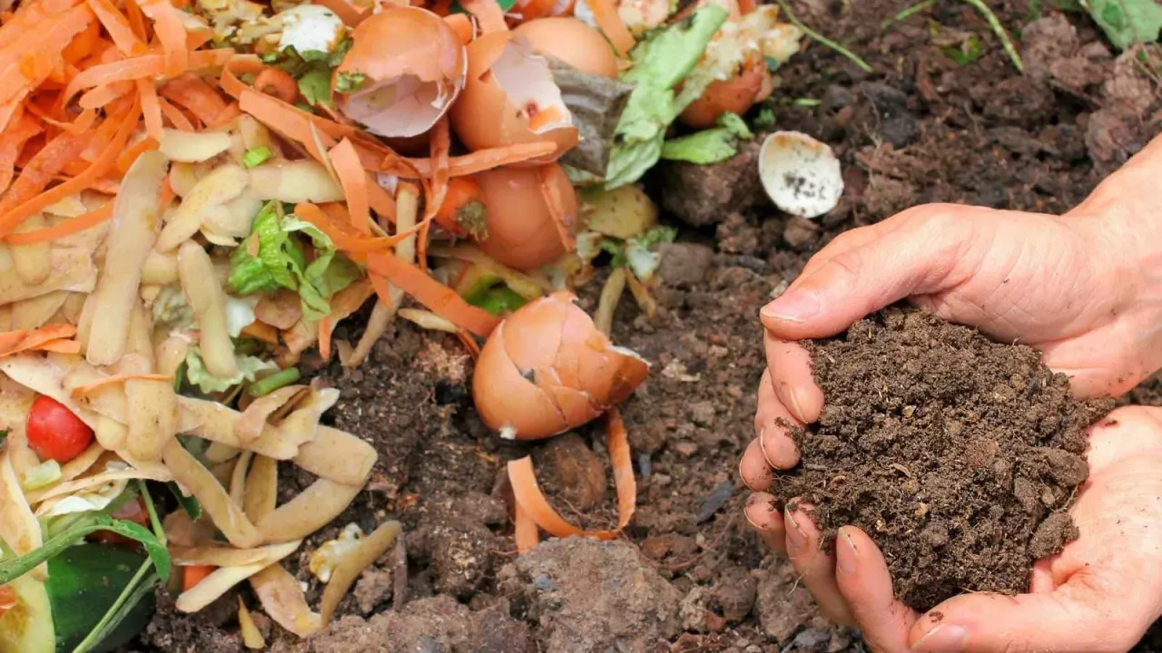 composting organic waste bin