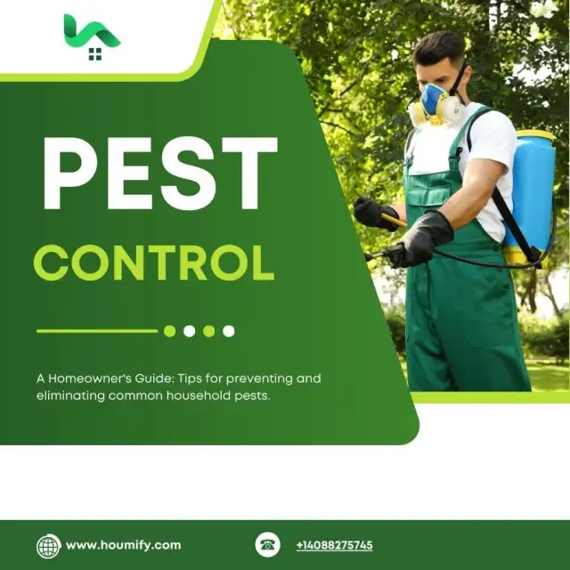 Pest Control: A Homeowner's Guide to Preventing and Eliminating Common Household Pests