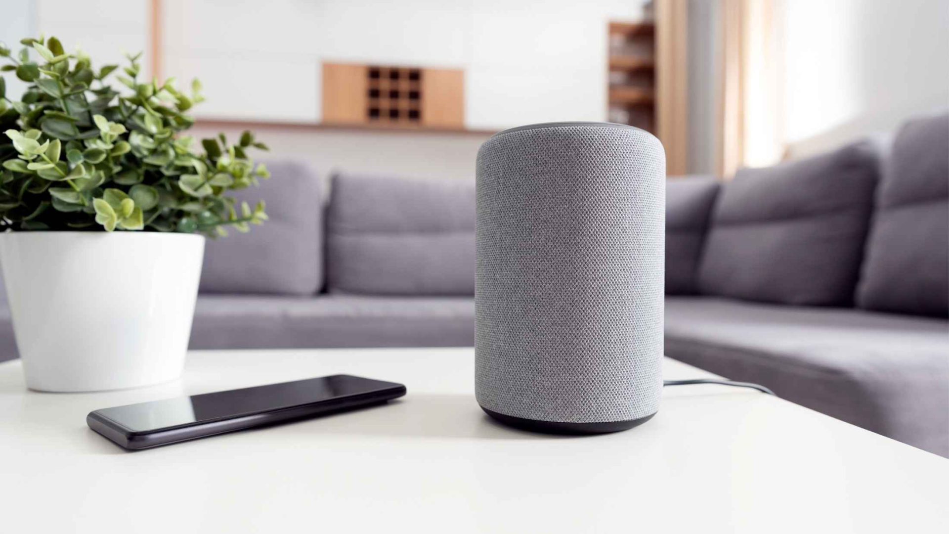 Smart Speakers and Voice Assistant